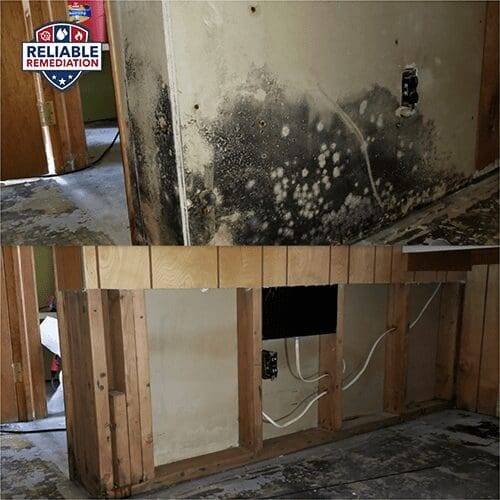 Basement Mold Removal Mansfield