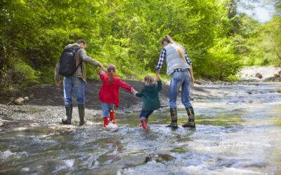 Look Out for Mold and Moisture in May