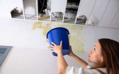 News and Updates Steps to Take After Discovering Water Damage in Your Eastern CT Home