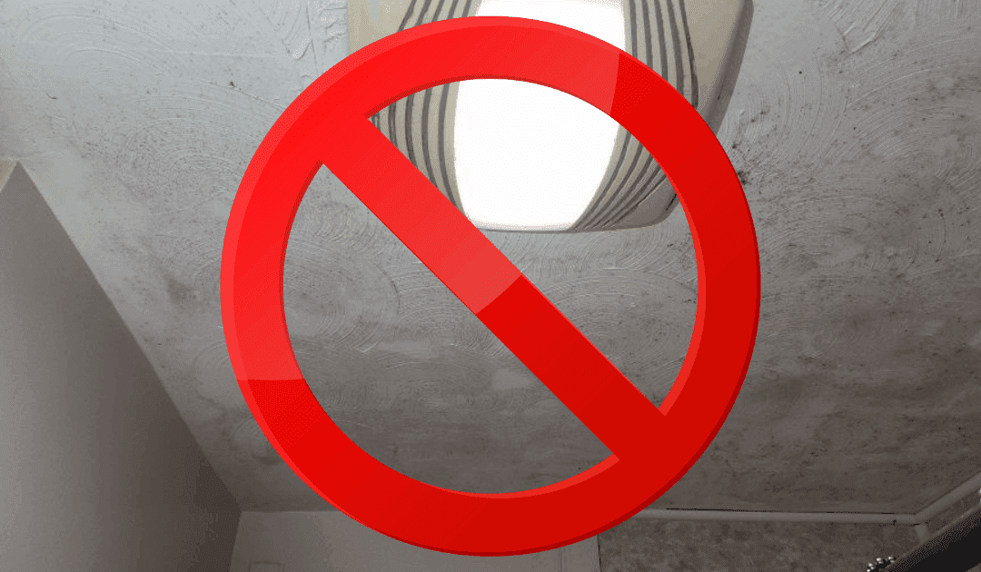 The Honest Answer: When We Tell a Client They DON’T Need Professional Mold Remediation