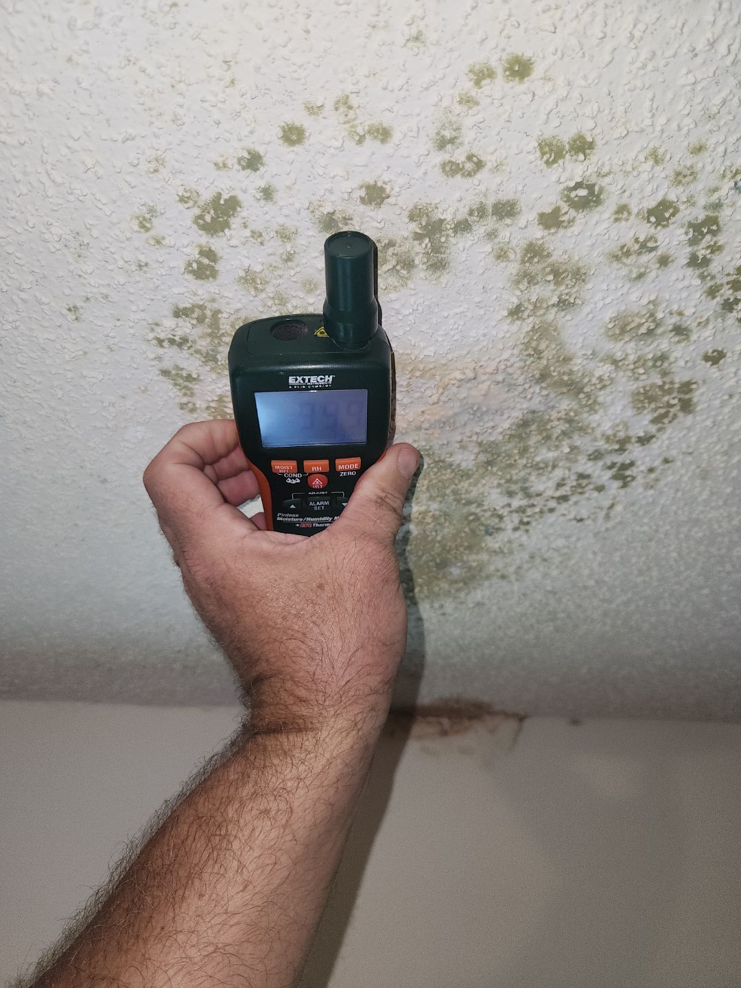 Mold spread across structural elements below the bathroom