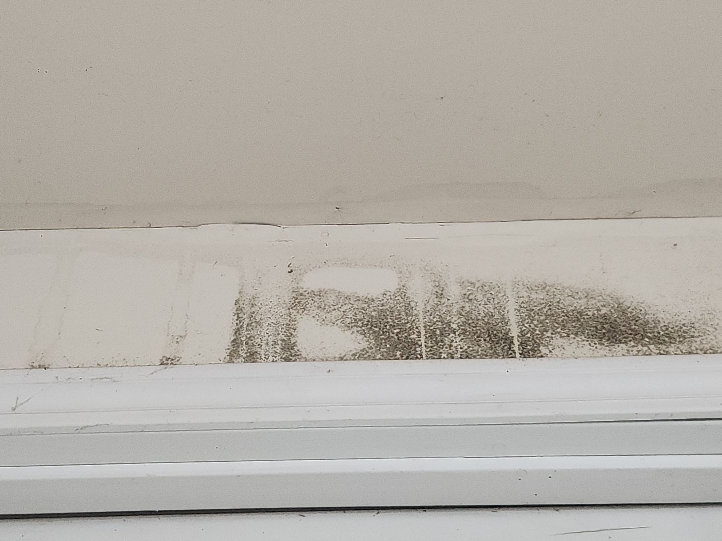 Hidden moisture detected inside walls using specialized equipment