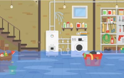 News and Updates What Should I Do Immediately After My Basement Floods in Eastern CT